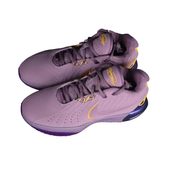 Nike lebron xxi basketball shoes