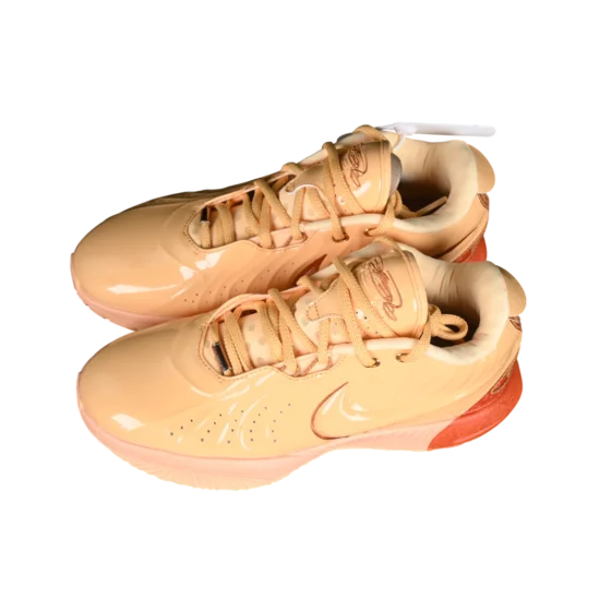 Nike lebron xxi basketball shoes