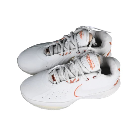 Nike lebron xxi basketball shoes
