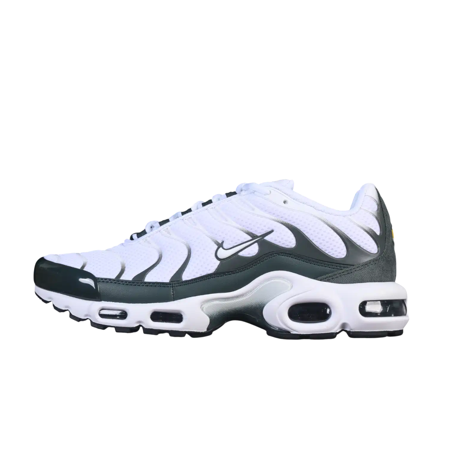 Nike air max plus