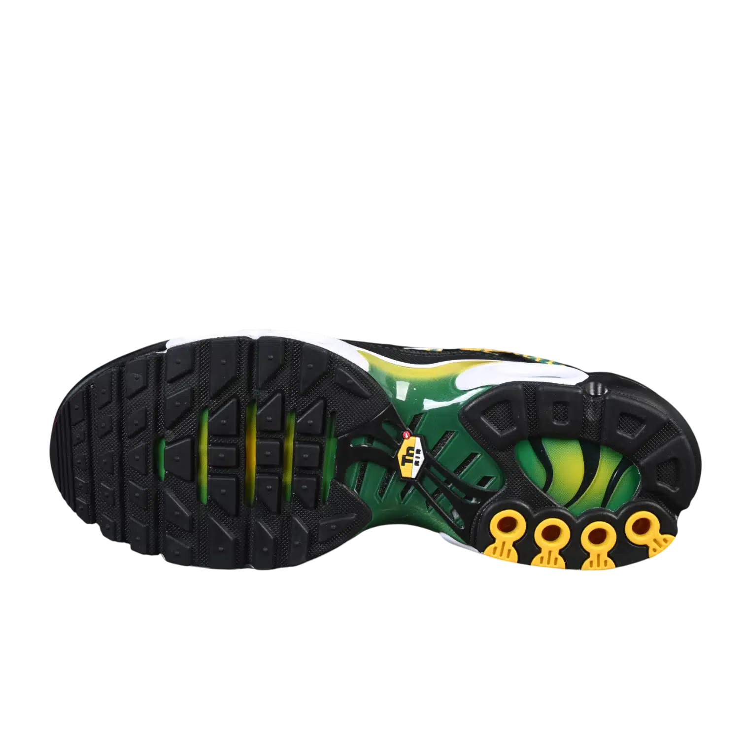 Nike air max plus anatomic shoes