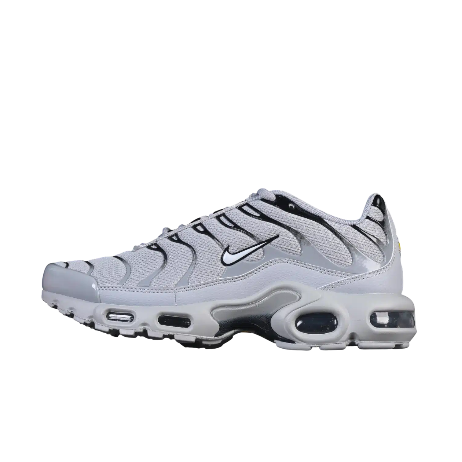 Nike air max plus anatomic shoes