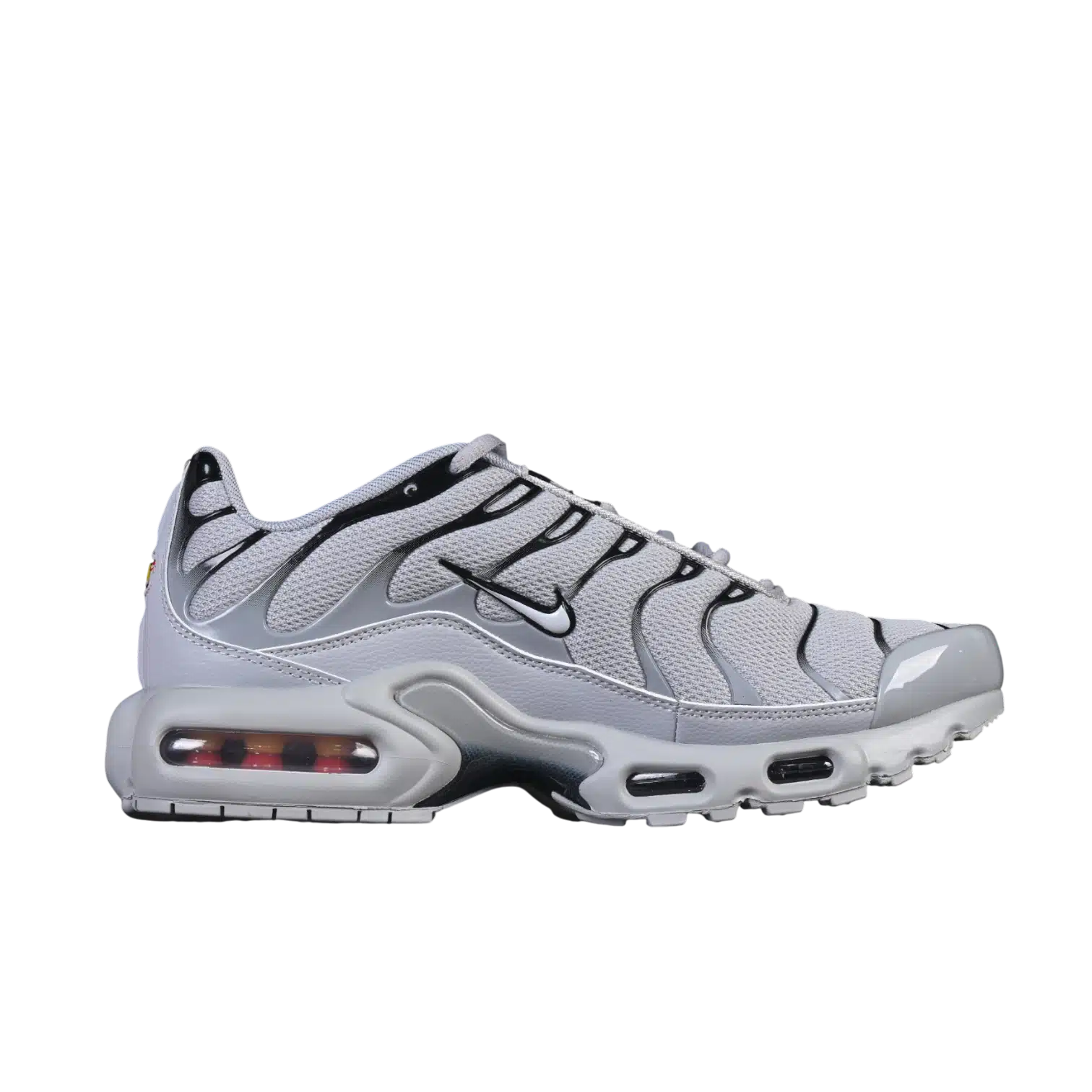 Nike air max plus anatomic shoes