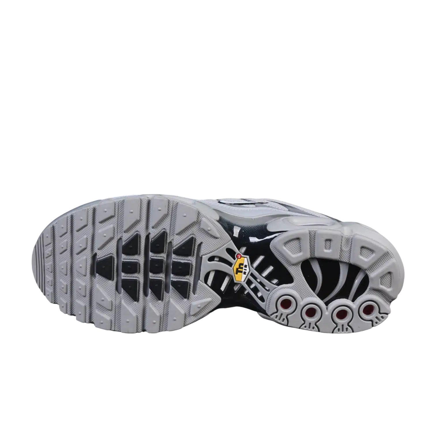 Nike air max plus anatomic shoes