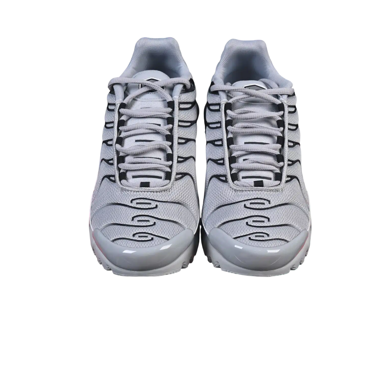 Nike air max plus anatomic shoes