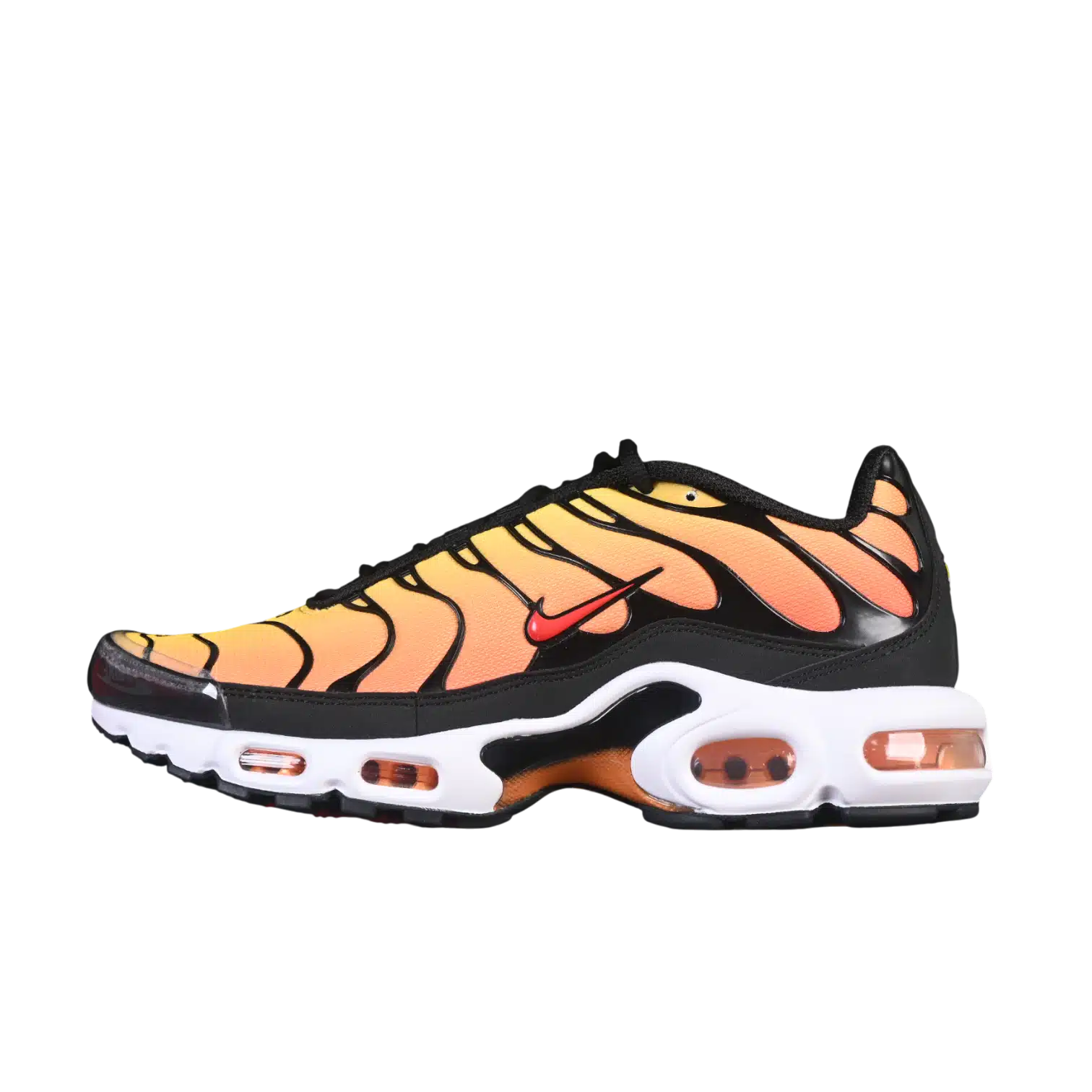 Nike air max plus anatomic shoes