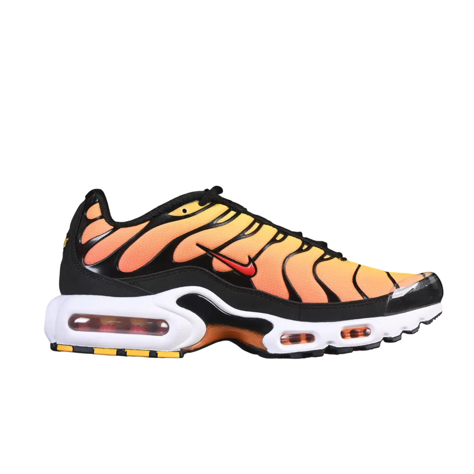 Nike air max plus anatomic shoes