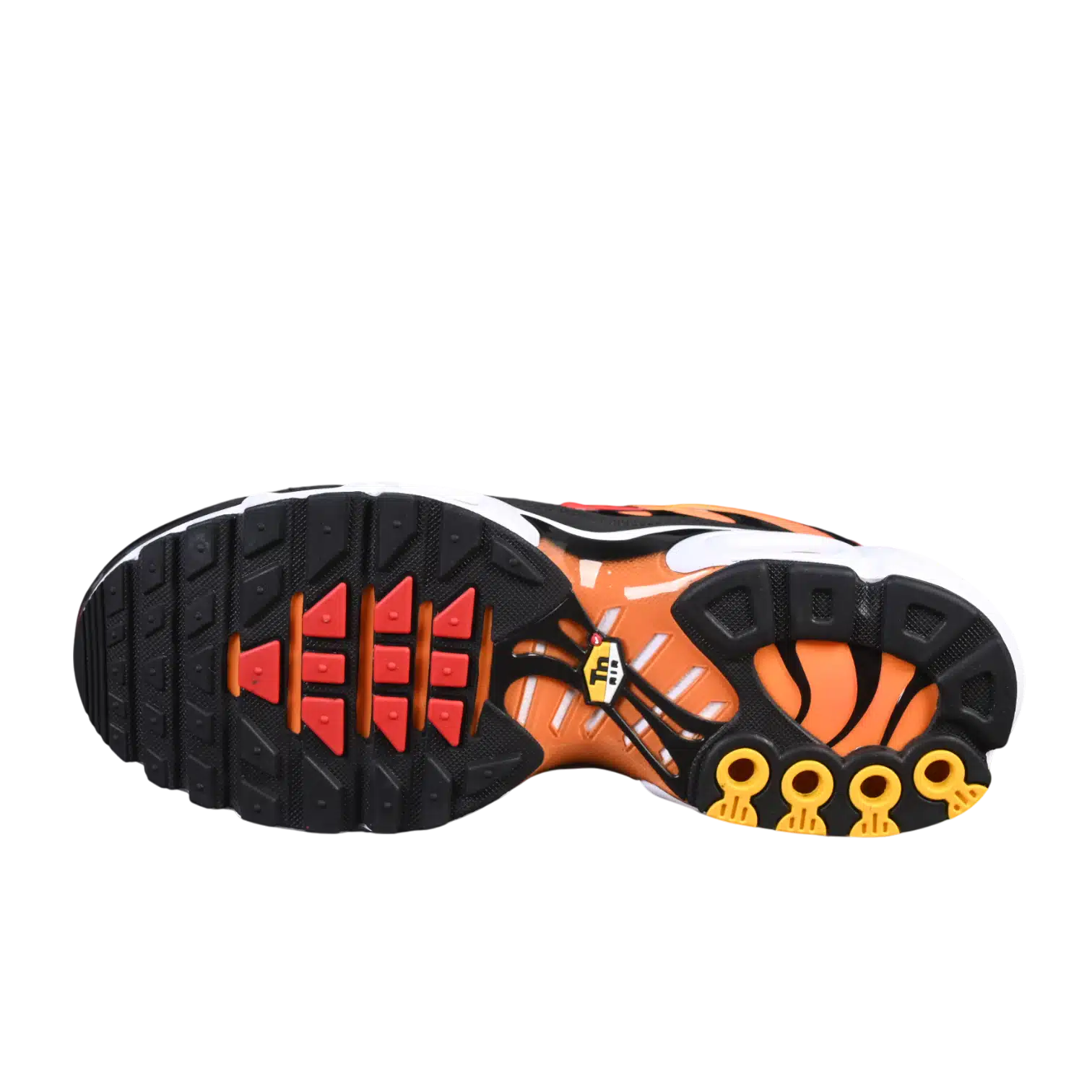 Nike air max plus anatomic shoes