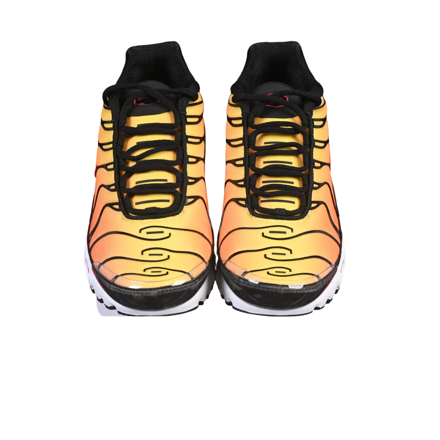 Nike air max plus anatomic shoes