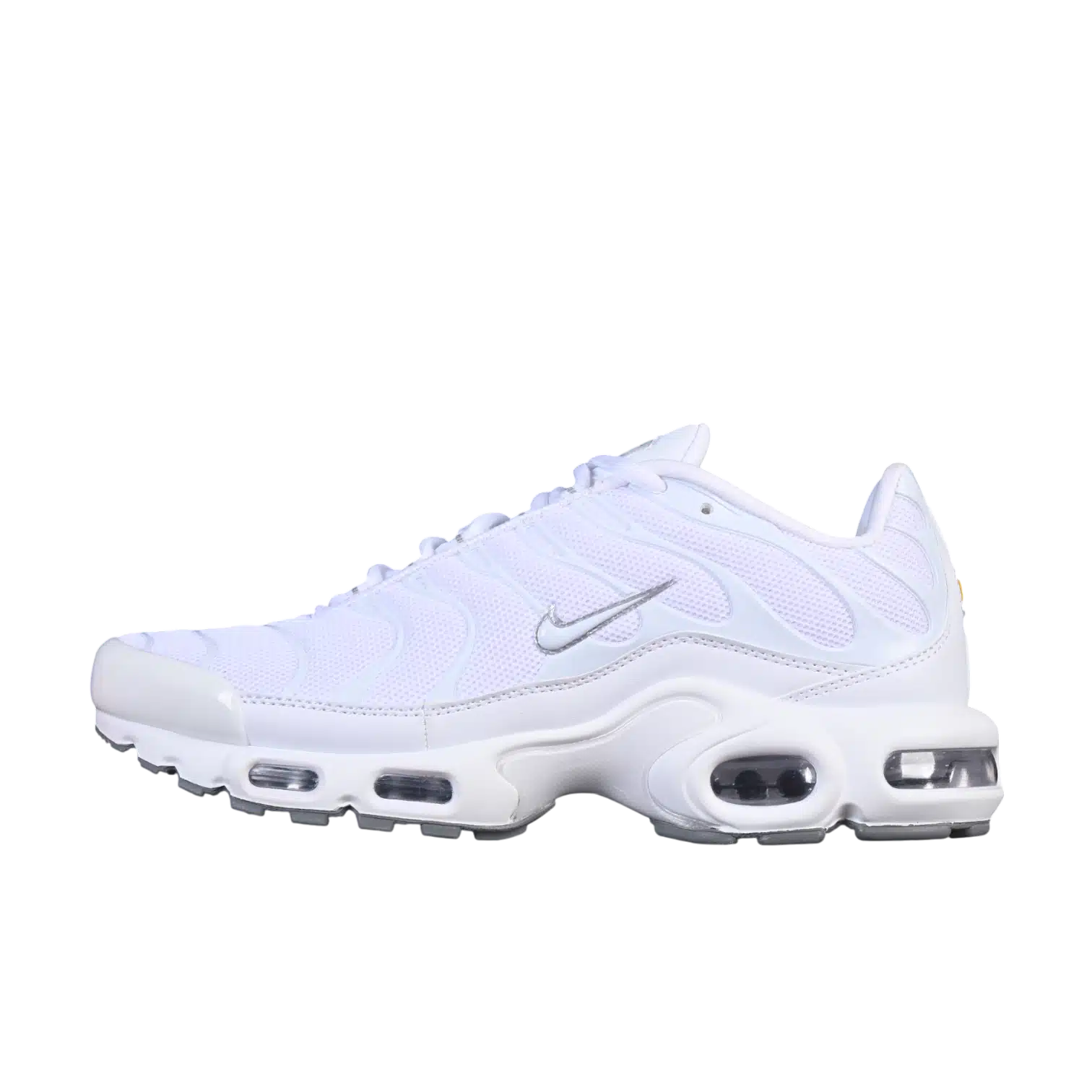 Nike air max plus anatomic shoes