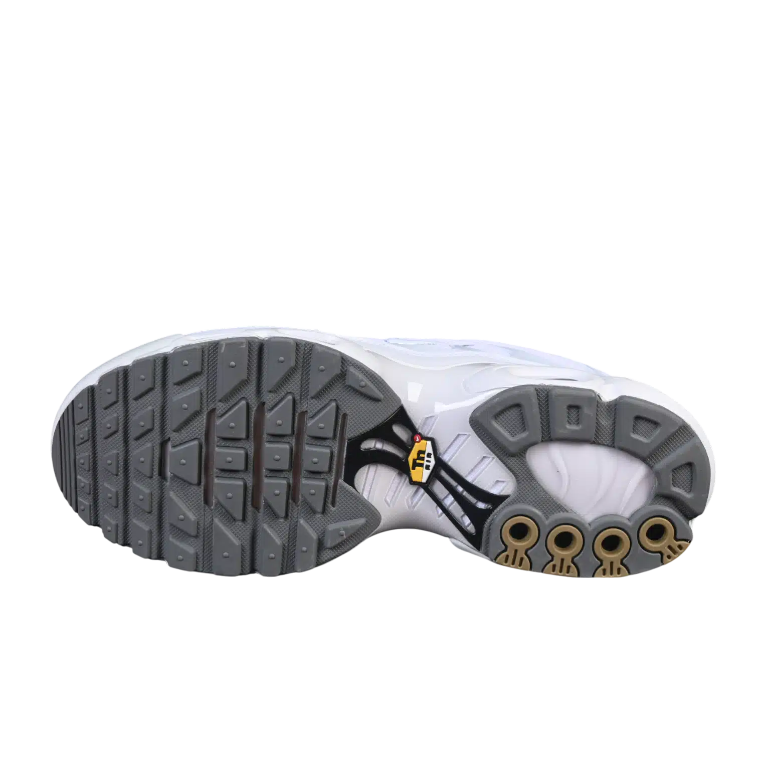 Nike air max plus anatomic shoes