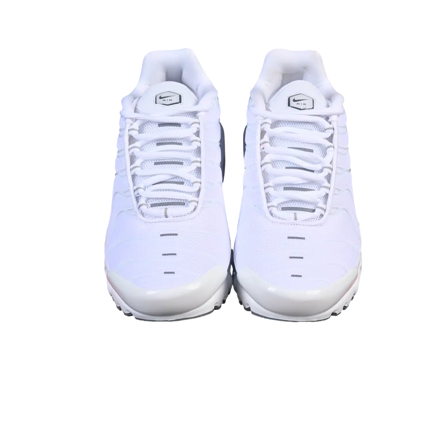 Nike air max plus anatomic shoes