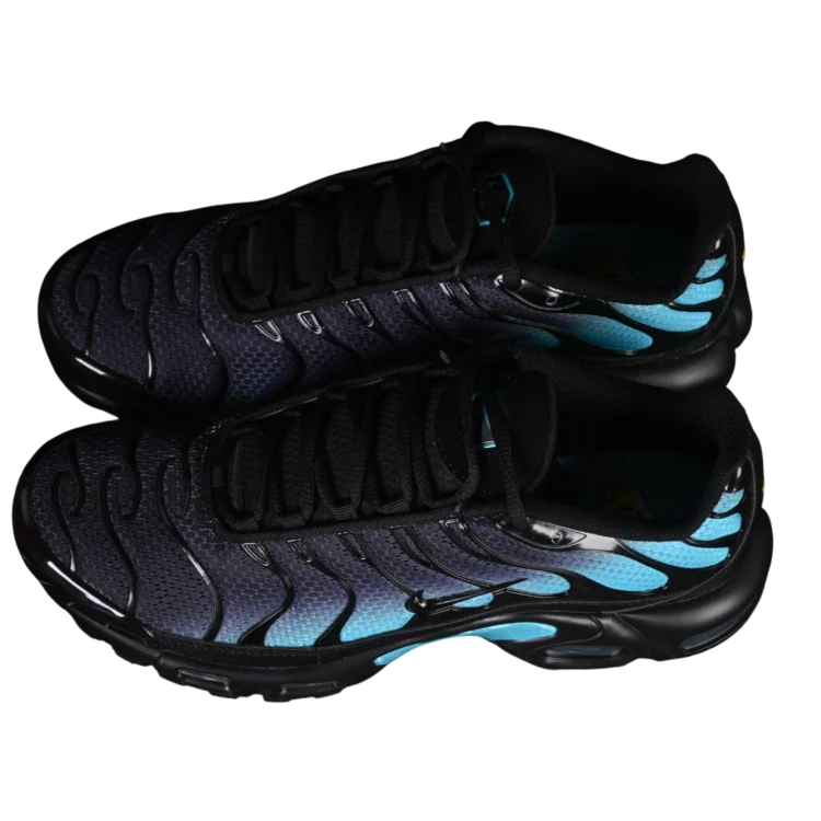 Nike air max plus standing shoes