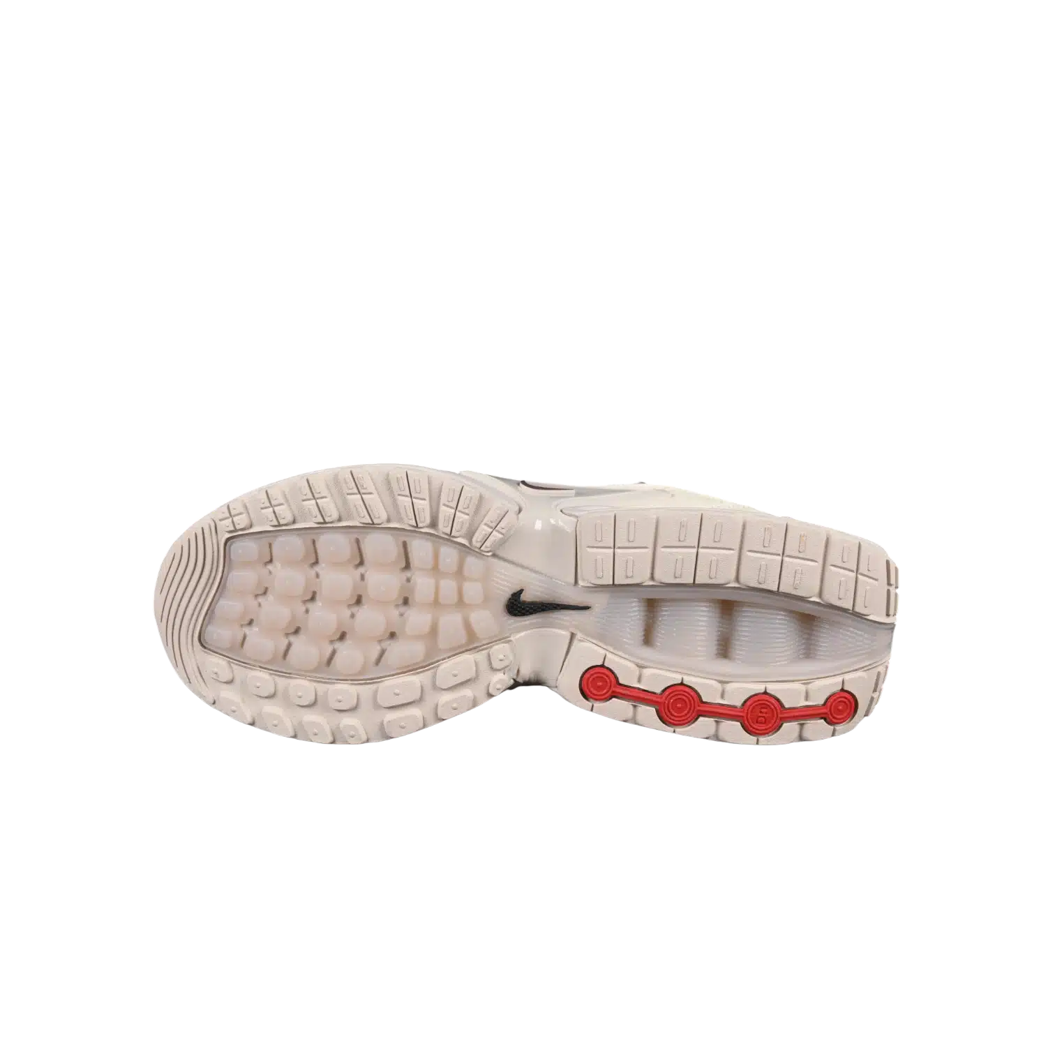 Nike air max dn anatomic shoes