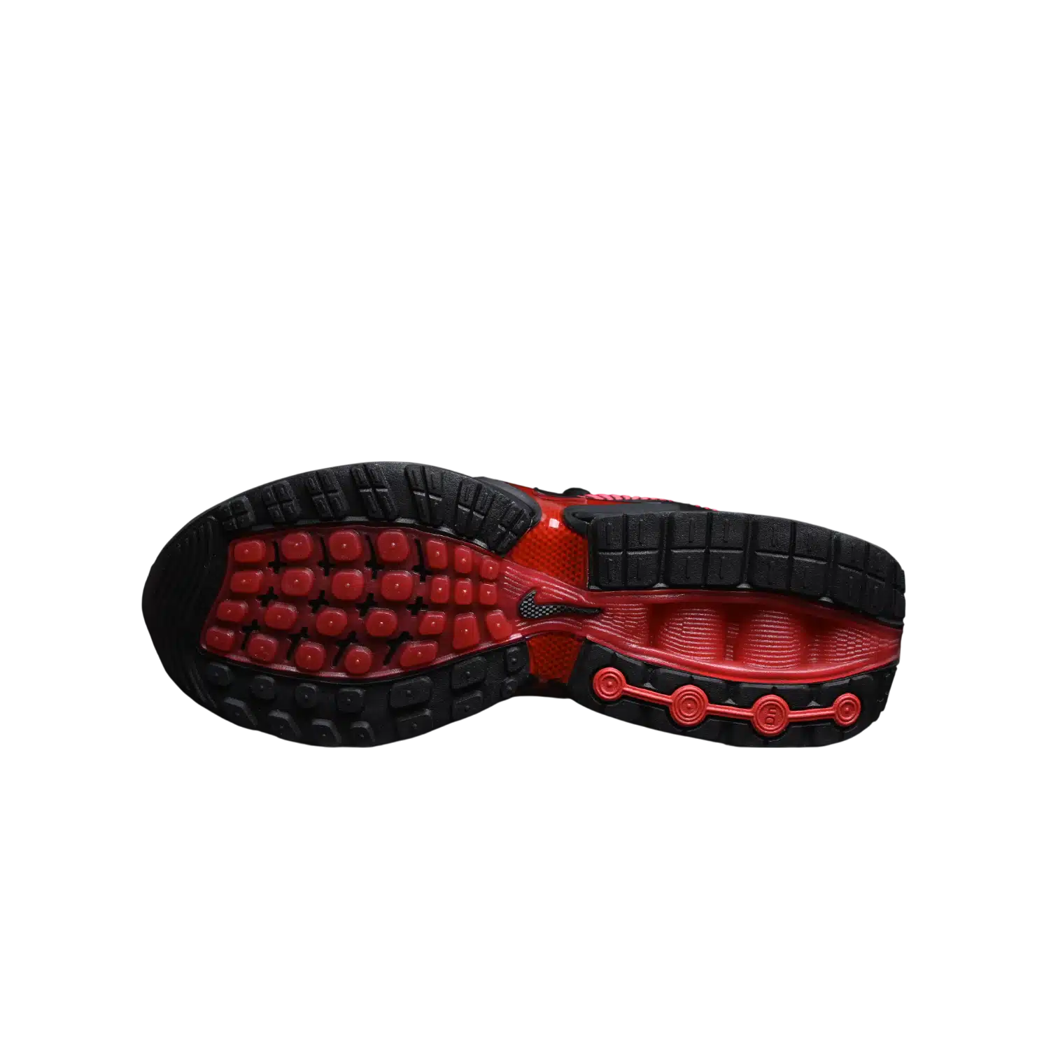 Nike air max dn anatomic shoes